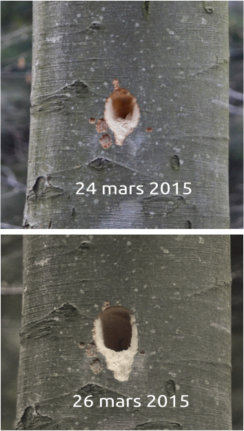 24 mars 2015 26 mars 2015