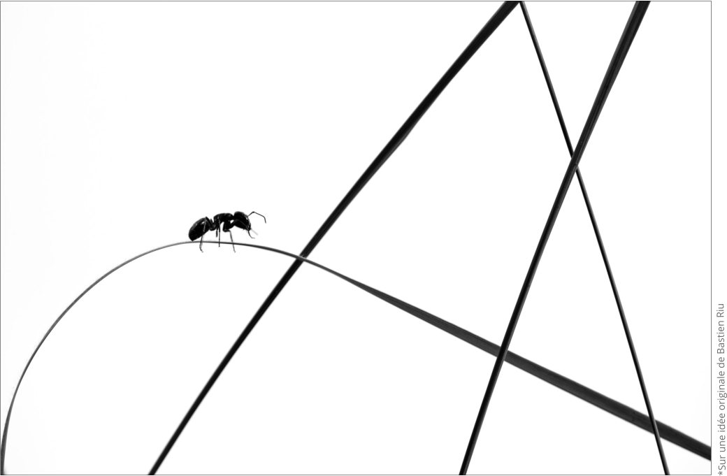 *Sur une idée originale de Bastien Riu