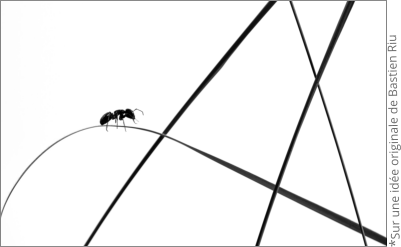 *Sur une idée originale de Bastien Riu